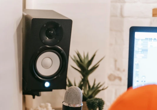 Monitor de estudio HS5